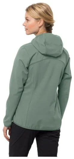 Jack Wolfskin Bornberg Hoody Women's -Peak Performance Butik jack wolfskin bornberg hoody women s picnic green xs picnic green 1 6