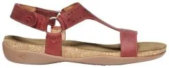 Keen Kaci Ana T-Strap Sandal Women's -Peak Performance Butik keen kaci ana t strap sandal women s bossa nova 1