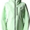 The North Face Summit Torre Egger Futurelight Jacket Women's